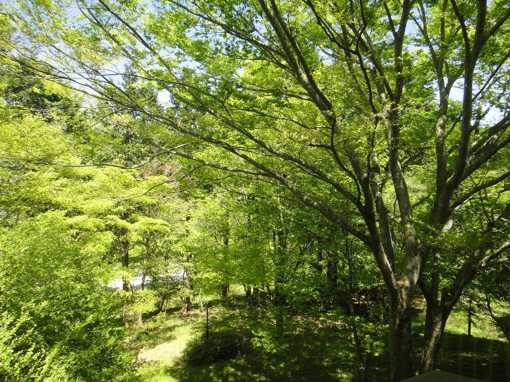 Top Resort Hakone Onsen Goku No Yado Eksteriør bilde